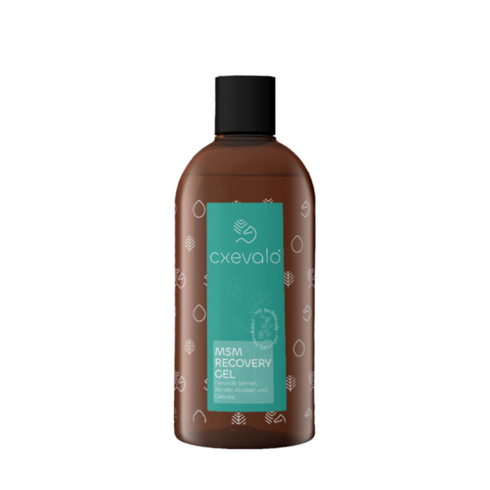 CXEVALO MSM Regenerationsgel mit Teufelskralle