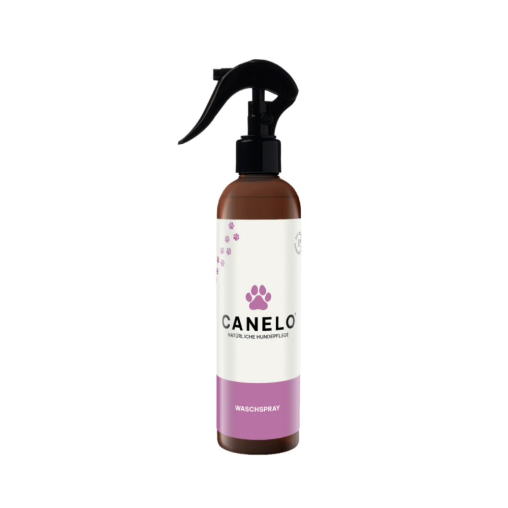 CANELO - Waschspray für Hunde